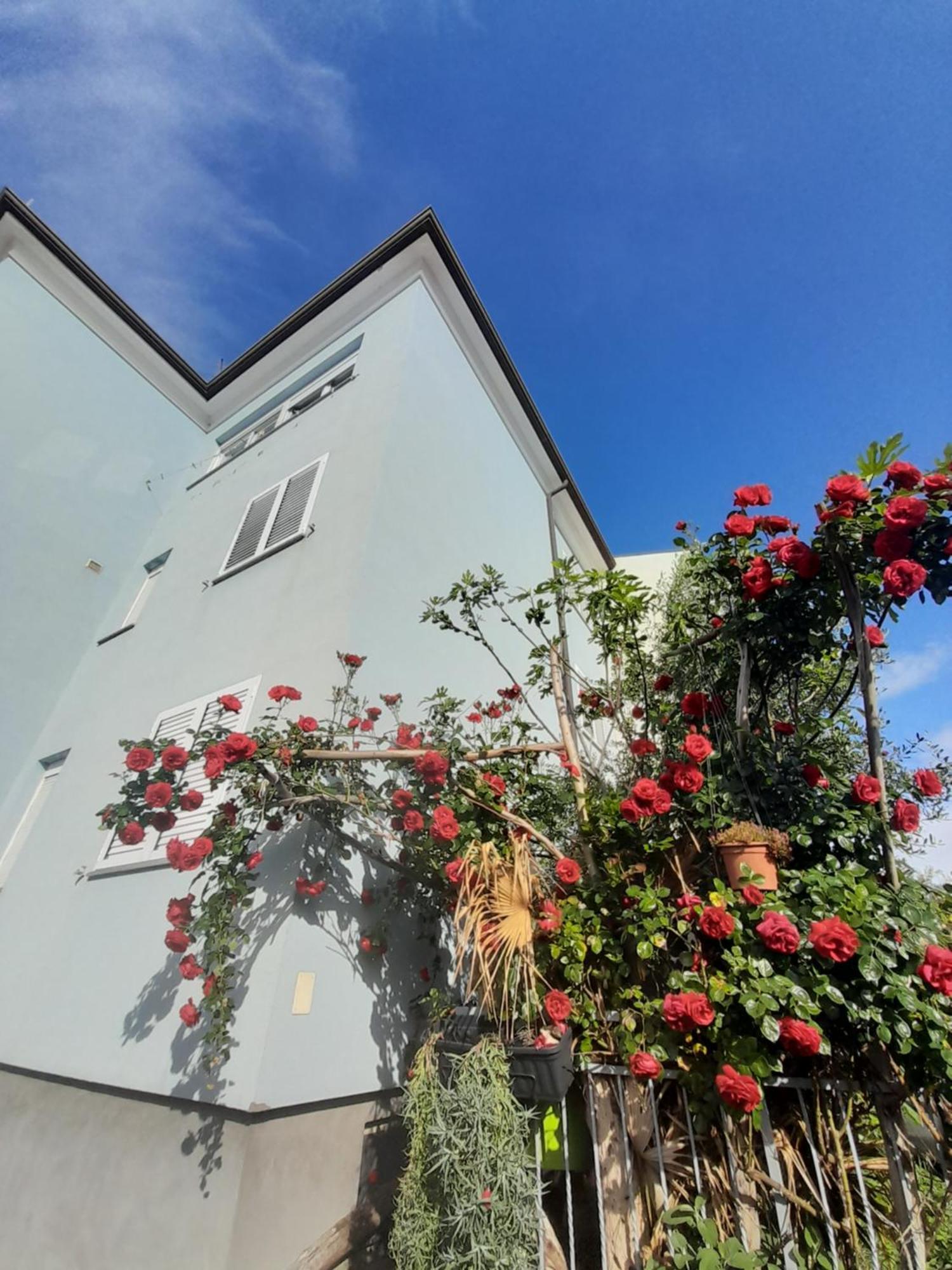 Lea Apartment Rovinj Exterior photo