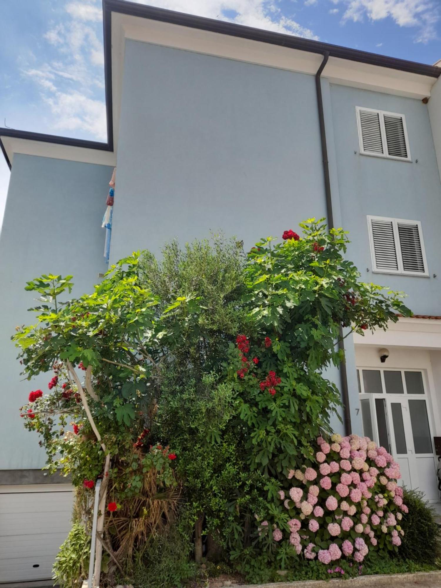 Lea Apartment Rovinj Exterior photo